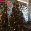 natale al macao
